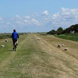 1307G 135 Fehmarn Nordstrand